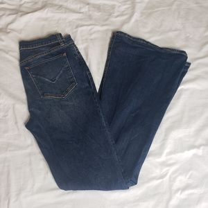 Hudson Holly Flare Jeans high rise sz 29 x 33